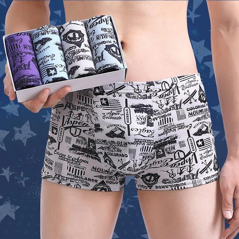 NEW Men's Panties 4pcs/Lot  Male Underpants Man Pack Shorts Boxers Underwear Fashion Sexy Mens Boxer Ultrathin Large Size L-4XL