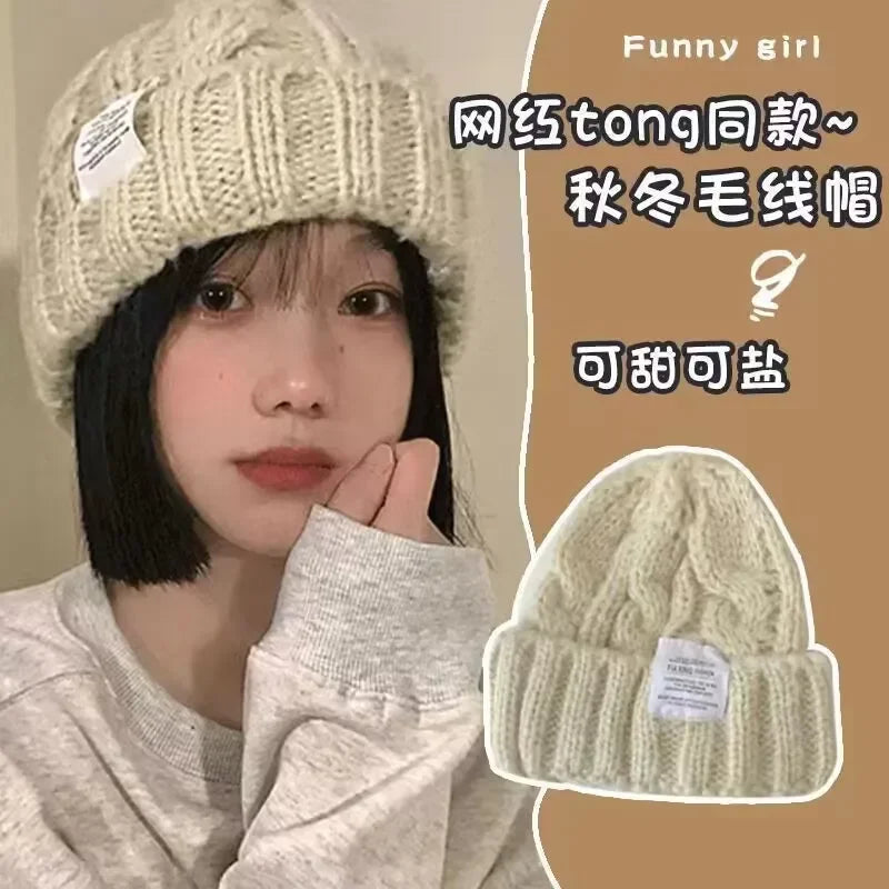 New Women's Winter Hat 2023 Beanie Hats For Woman Knit Cap Fashion Warm Wool Couple Cap Bonnet Female Winter Twist Female Bonnet