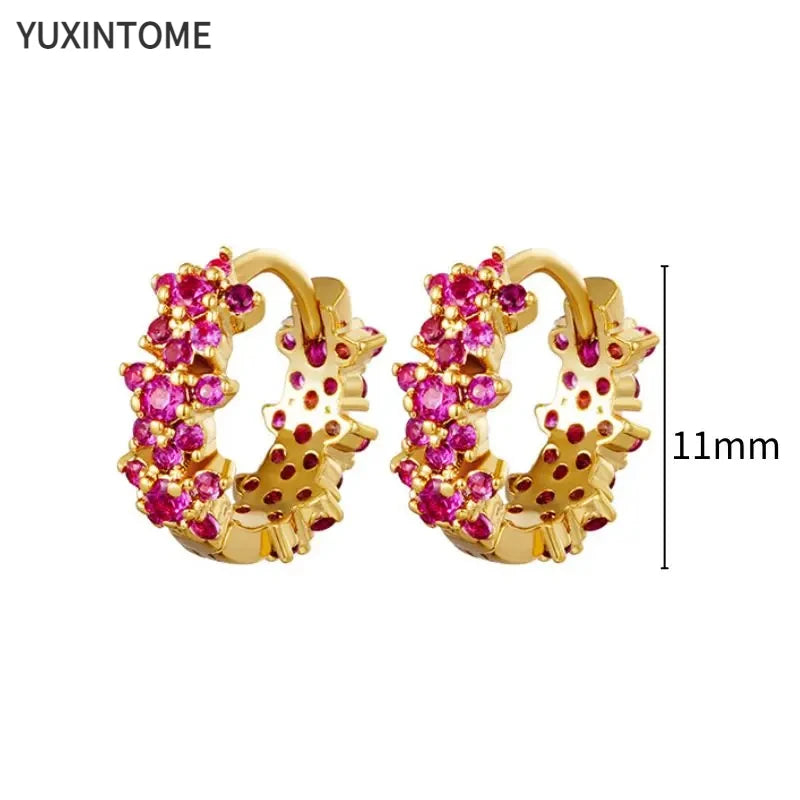 925 Silver Ear Needle Rose Red Hoop Earrings For Women Exquisite Water Drop/Flower/Heart Crystal Piercing Huggie Earring Jewelry