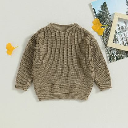 Baby Girl Autumn Fall embroidery Sweater Long Sleeve Crew Neck Flower Winter Warm Knit Pullover Sweater Infant Clothes