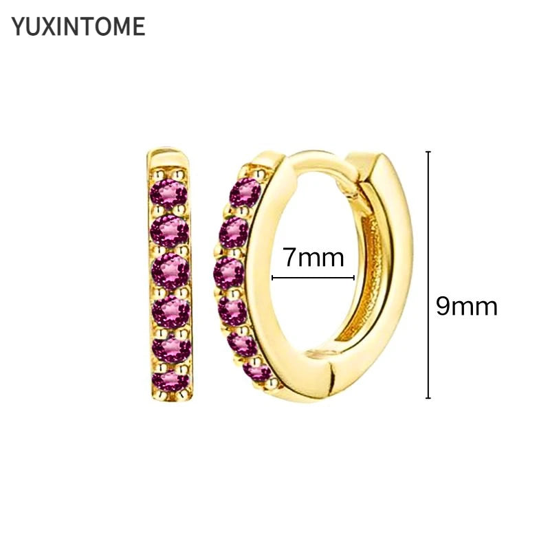 925 Silver Ear Needle Rose Red Hoop Earrings For Women Exquisite Water Drop/Flower/Heart Crystal Piercing Huggie Earring Jewelry