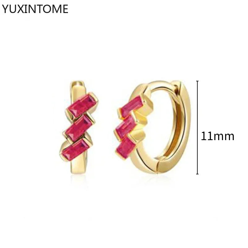 925 Silver Ear Needle Rose Red Hoop Earrings For Women Exquisite Water Drop/Flower/Heart Crystal Piercing Huggie Earring Jewelry